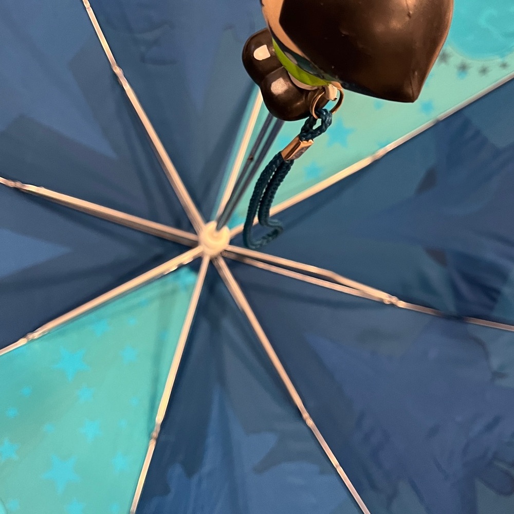 Cartoon Network Powerpuff Girls Blue Umbrella - Picture 6 of 9
